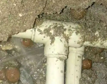 陈巴尔虎测漏水多少钱