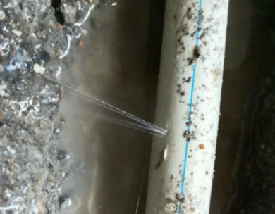 陈巴尔虎测漏水哪家好