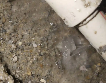 陈巴尔虎测漏水电话号码