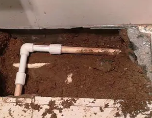 陈巴尔虎测漏水哪家好