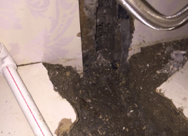 陈巴尔虎卫生间测漏水哪家好