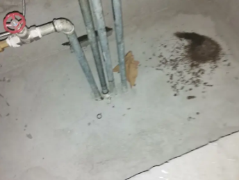 陈巴尔虎卫生间测漏水价格明细