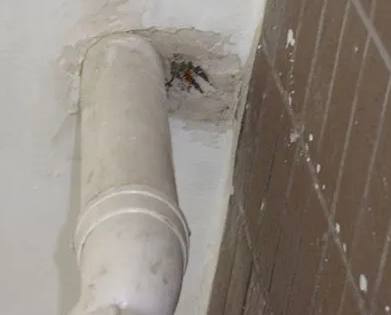 陈巴尔虎漏水检测哪家好